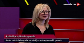 Tərcümə məsələləri Mədəniyyət televiziya kanalında